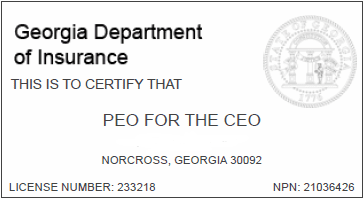 Georgia Department of Insurance Certification